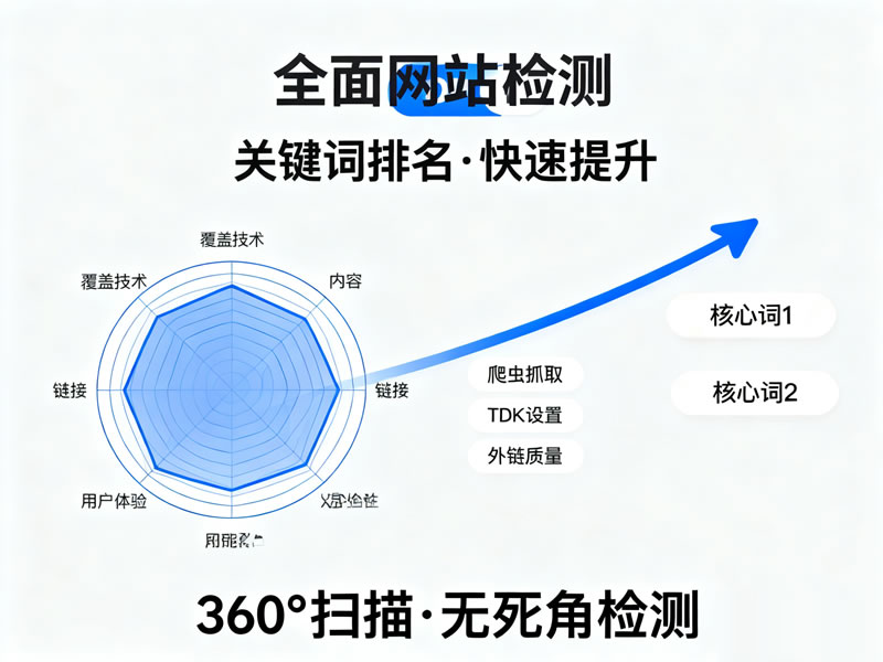 SEO診斷服務(wù)展示，網(wǎng)站問題分析和報告的示意圖